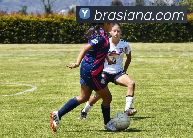 开云APP 体育赛事宣传图